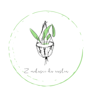 Naklejki  "Z miłości do roślin"