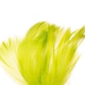 piorka-w-torebce-pistacja.jpg