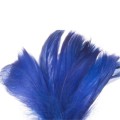 piorka-w-torebce-granat.jpg